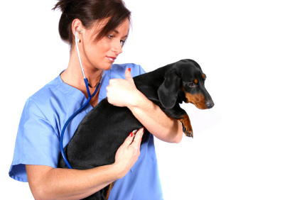 woman holding dog