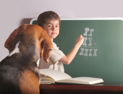 Dog and blackboard