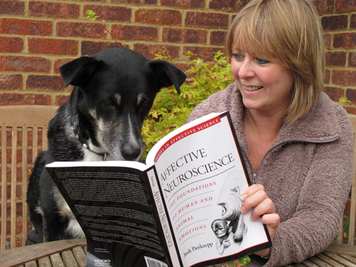 Zara the dog reading a book